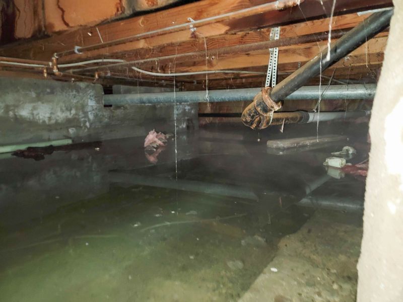 Basement Restoration Service in Santa Rosa, CA
